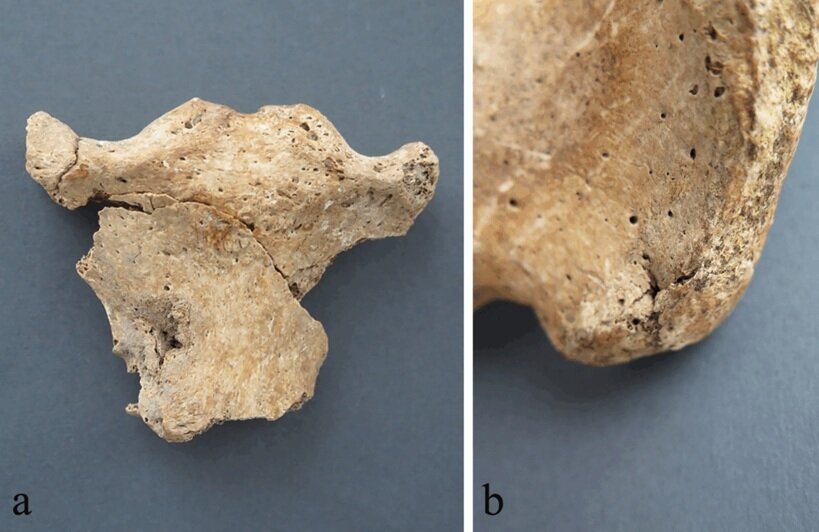 بیرون آمدن هفت سرباز روم باستان از یک چاه پس از ۱۷۰۰ سال | عکس