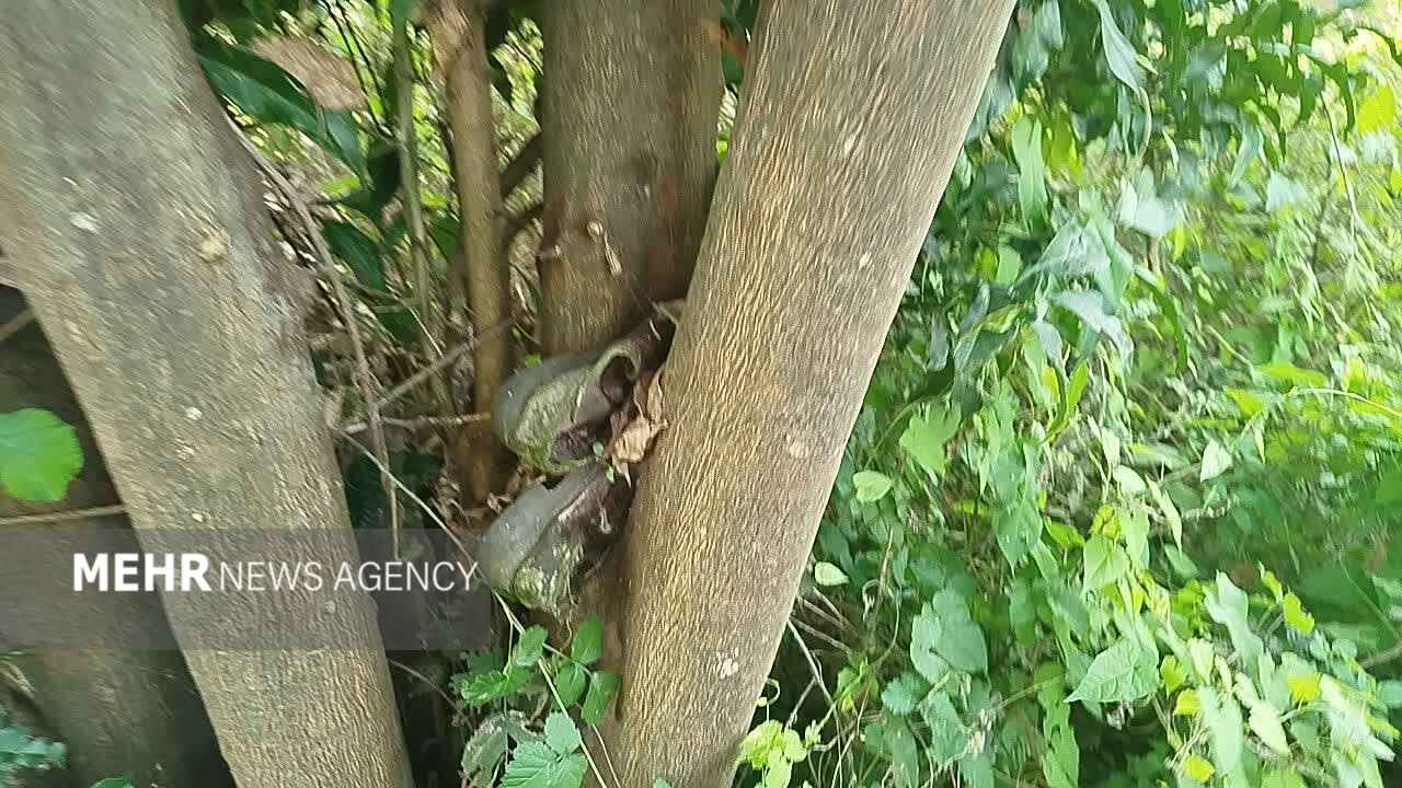 وصال پس از ۳۸ سال دلدادگی؛ روستای لاکوژده در سوگ مادر شهید نشست